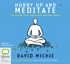 Hurry up and meditate